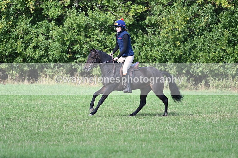 WJ7_1097 - Time 13:56 to 14:24