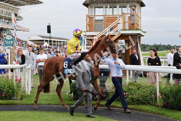 yr23072021r4-14 - Race 4 7.30pm British Stallion Studs EBF Lyric Fillies' Stakes