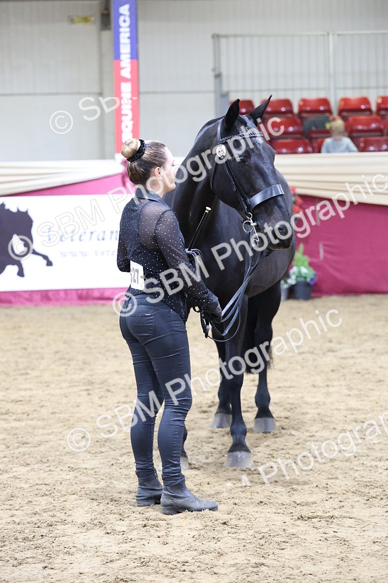 SBM_20373 - Class E - Best Turned Out Champ