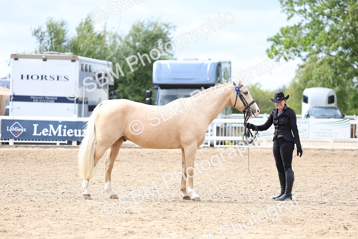 SBM_04449 - Class 26 - IH Foreign Breeds - Part Bred