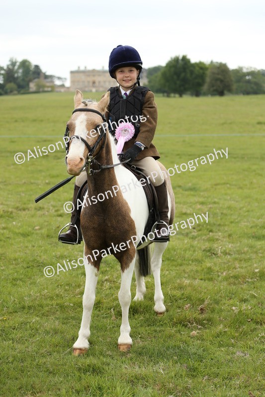 20250517-0626 - Class 20 - Beginners Working Hunter