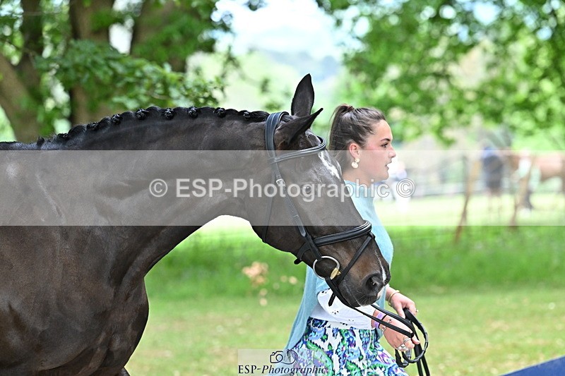 250521A-143952-00154 - A-015-Amelia.England-ELUNA