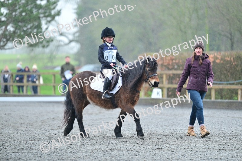 20260125-0873 - Class 9a - Walk Trot Assisted