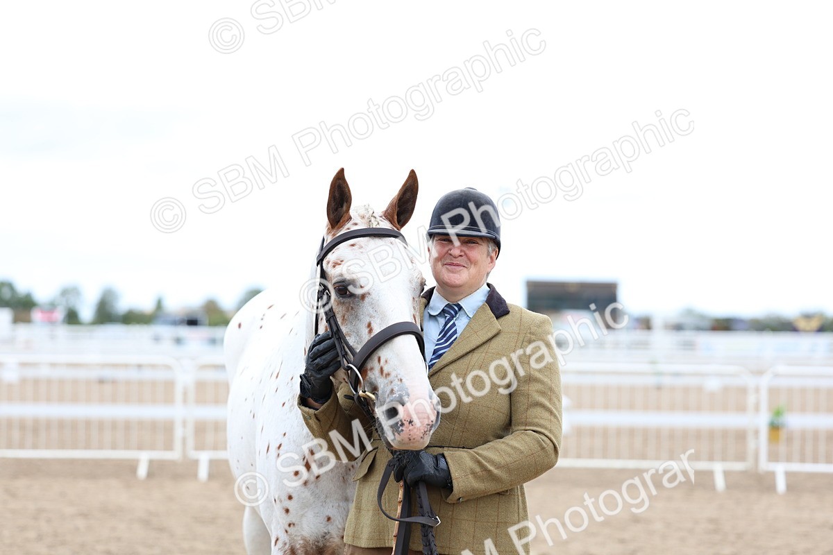 SBM_05084 - Class 27 - IH Competition Horse or Pony
