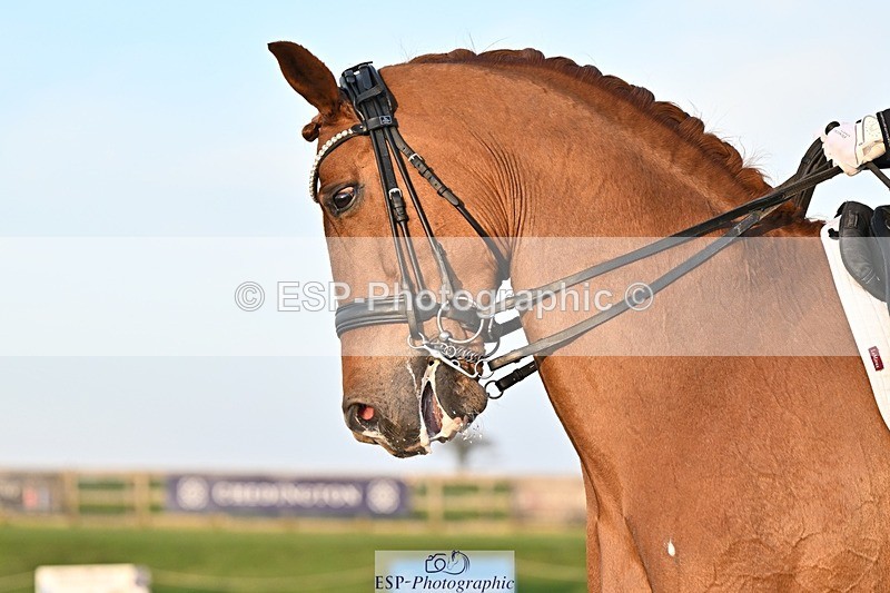 250404-190123-08775 - 195-Sarah.Millis-Impressive.VDC