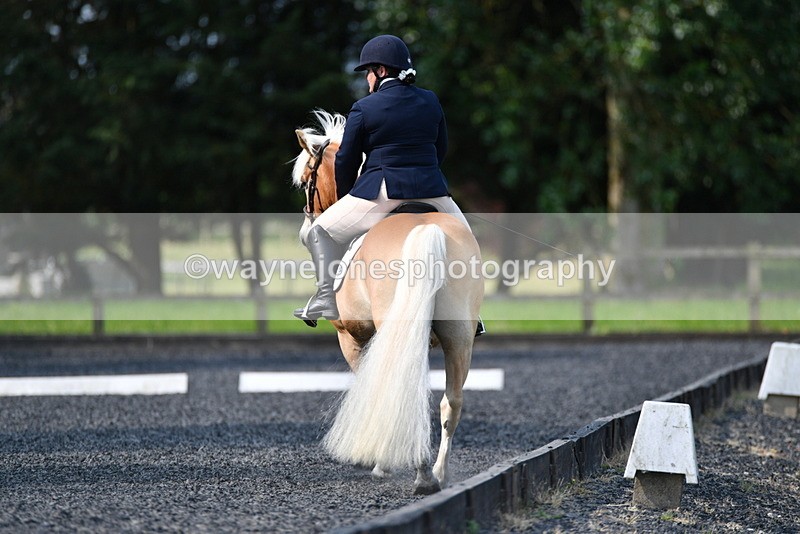 WJ5_8891 - Time 09:34 to 09:57