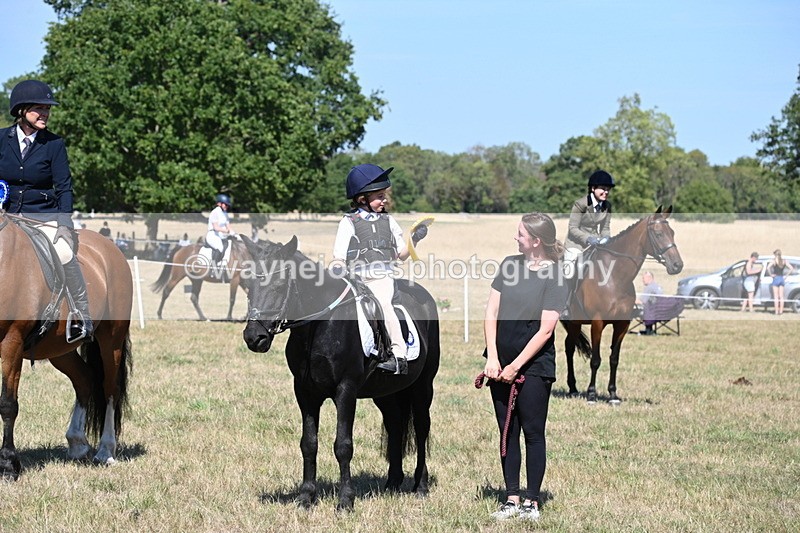 WJ6_8496 - Class 37a Best Loan Pony Ridden