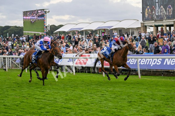 220824-Race 4-Content-7401 - Race 4 3.35pm Pertemps Network Yorkshire Oaks