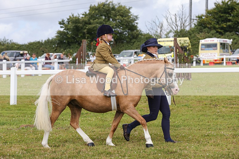 1X9A3643 - Class 29: Lead Rein SP/SHP