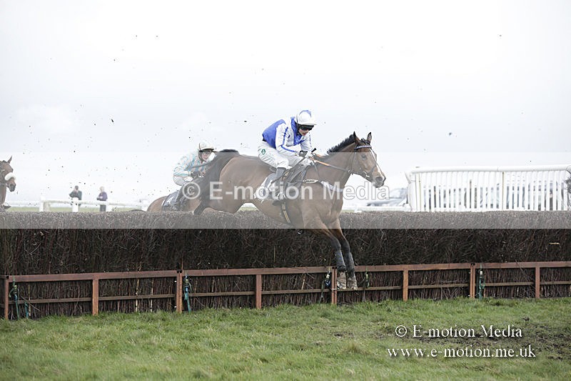 PtP 150320 0580 - New Forest Point-to-Point Larkhill 15/03/20