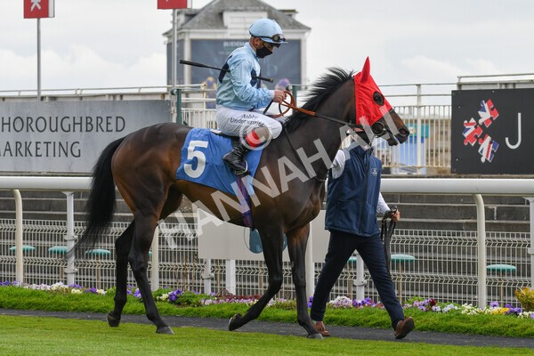 yr14052021r2-8 - Race 2 2.10pm Oak Farm Stables Fillies' Stakes (registered as the Michael Seely Memorial Stakes)