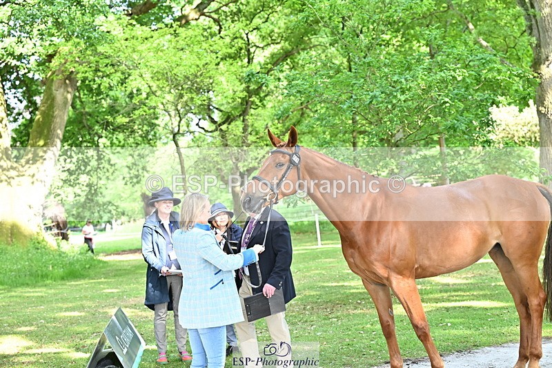 250521A-165844-01446 - C-276-Sammi.Birch-ROSAS.PARTY