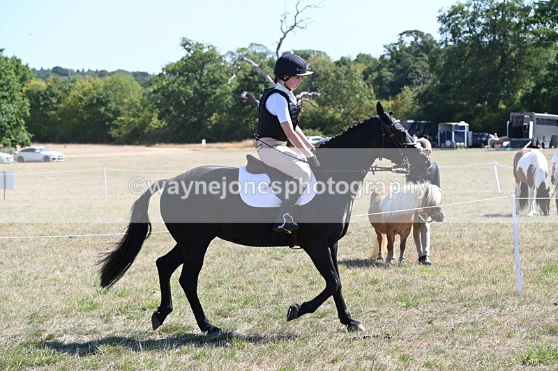 WJ6_8316 - Class 37a Best Loan Pony Ridden