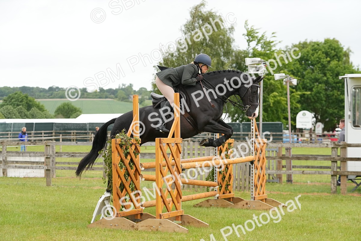 SBM_12580 - Class 97-98 - LIHS BSHA Rising Star Working Show Horse Hunter