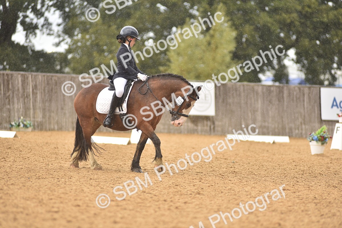 SBM_42502 - D22 - Junior Championship Intro 3