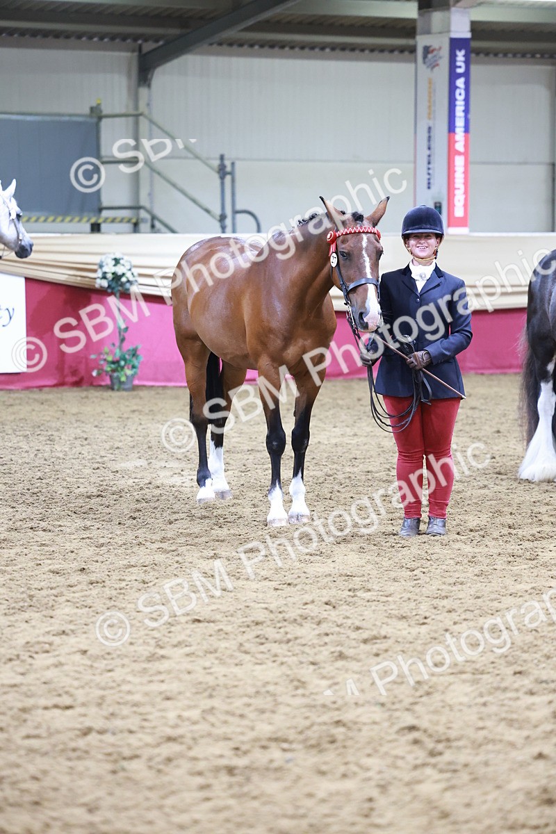 SBM_20130 - Class C - Novalty Champ