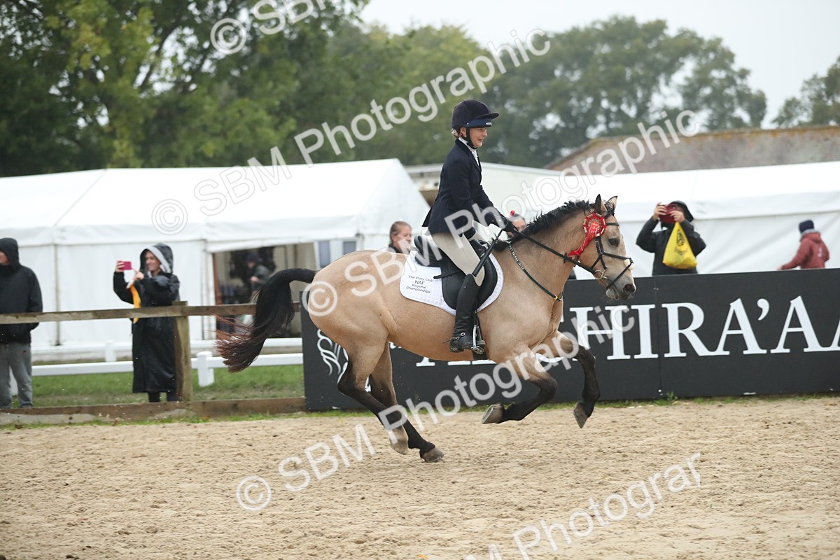 SBM_74359 - Supreme championship Junior Pony 70cm 75cm