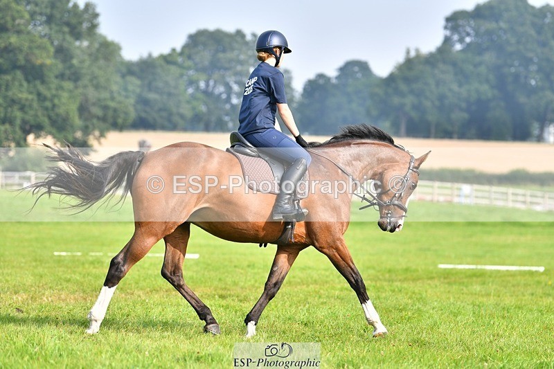 230817-093405-02596 - Abbie's 1st Group - Dressage