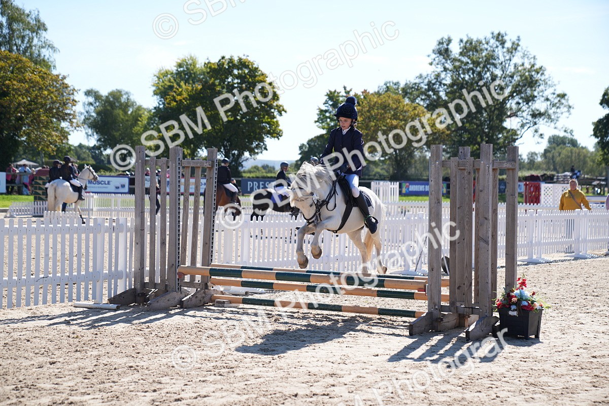 SBM_19475 - J57 - Clear Round 50cm