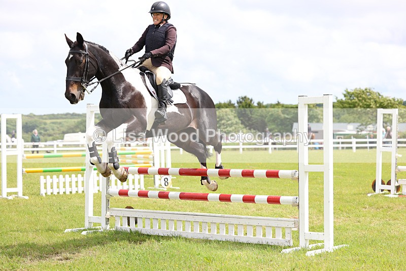 3E7A7664 - Class 13: Senior British Novice/90cm open