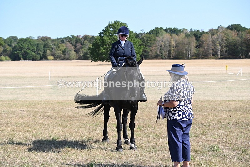 WJ6_7556 - Class 34 Judges Choice