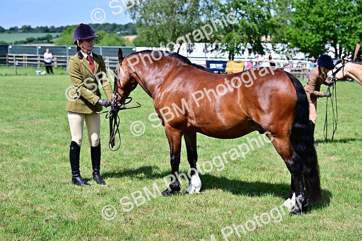 SBM_08061 - Class 61-62 - TSR  M&M Ridden Amateur of the Year