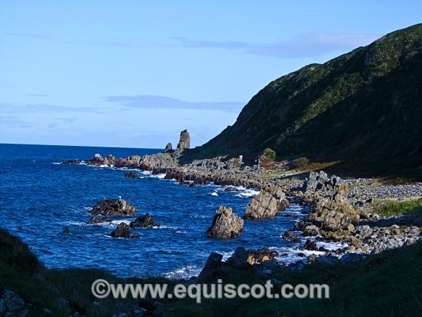  - Wildlife & Landscape