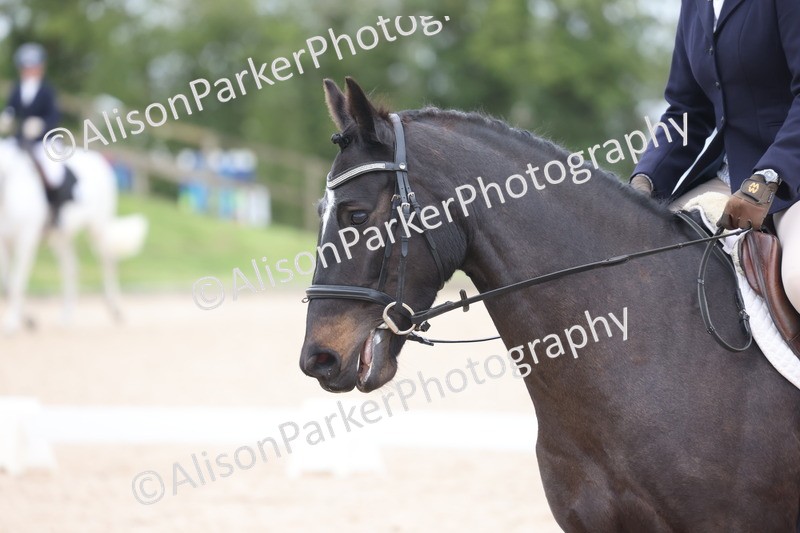 20260404-0115 - Class 2 - Intro 4