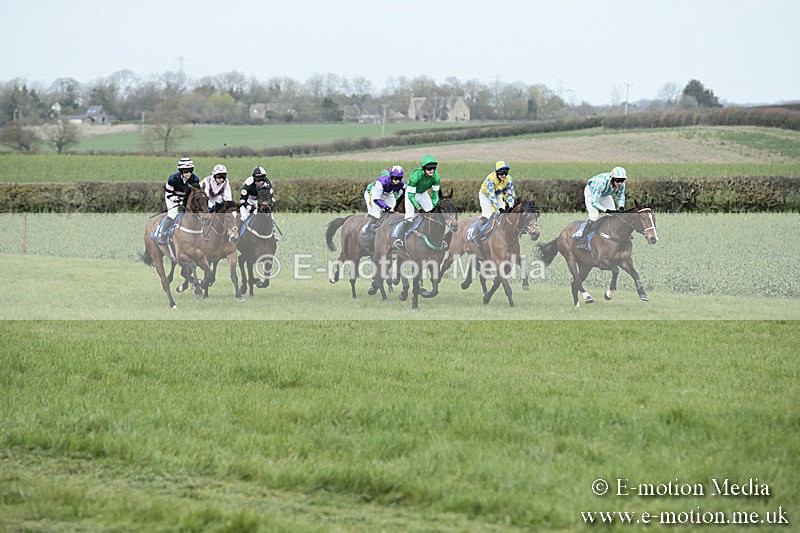PtP 230319 139 - VWH Hunt Siddington Point-to-Point Racing 23/03/19