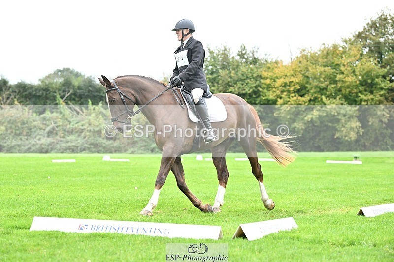 241024-111153-02382 - 315-Andrew.Winterton-STALLONE