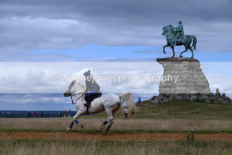 DSC_8825 - Time at Statue 14:33 to 15:10