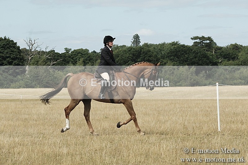 _PJP6089 - BVRC Show 2018 Ring 1