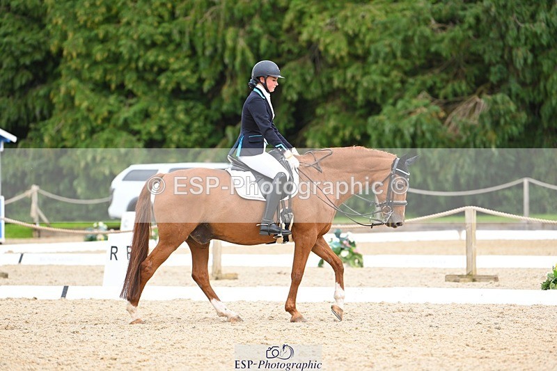 230813-133837-07614 - Cls 13 Medium Bronze 13.15 to End