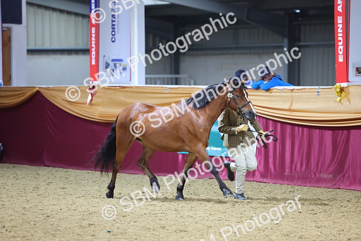 SBM_20803 - Class 902 - Supreme Final IH Veteran