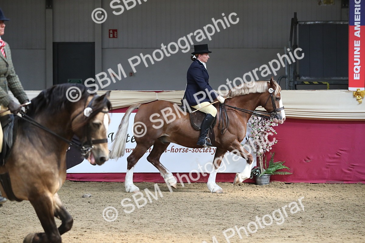 SBM_16292 - Class 502 M&M Ridden Supreme Final