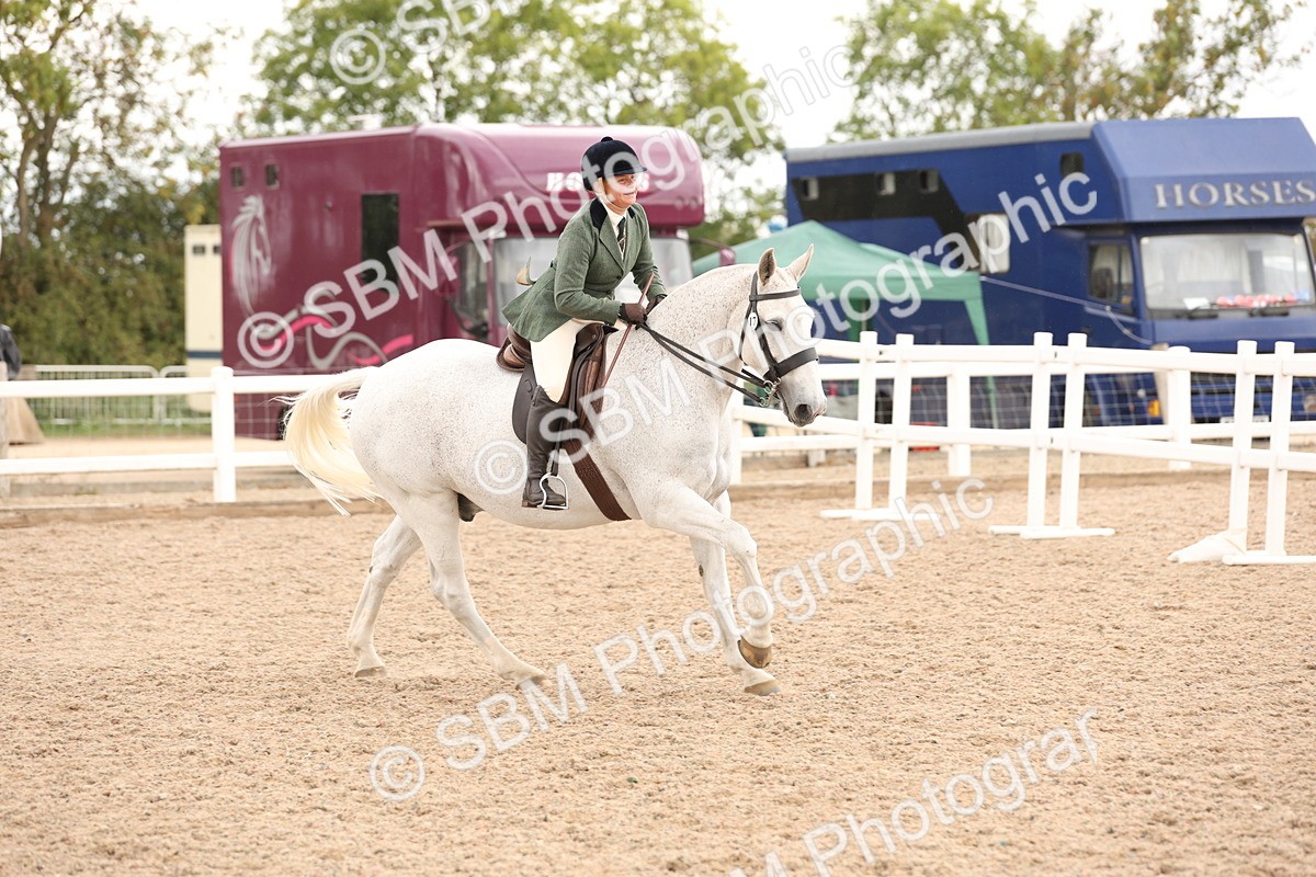 SBM_19606 - Class 215 - Ridden Show cob