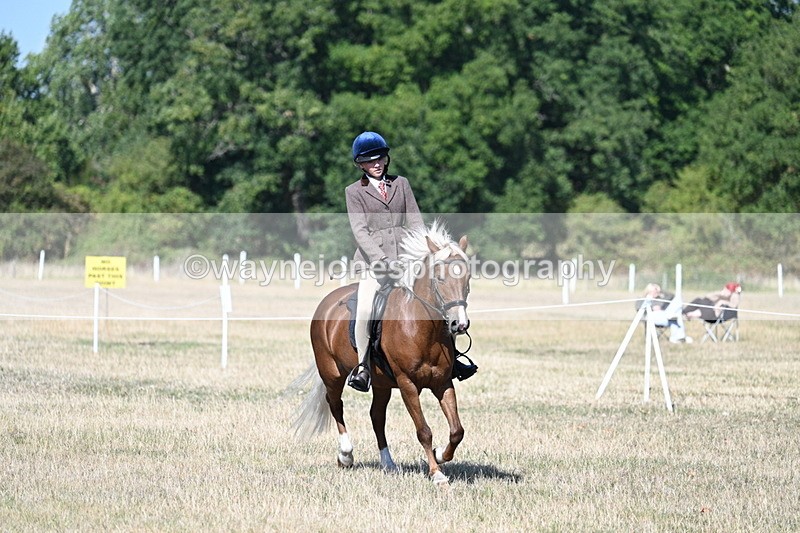 WJ7_4024 - Class 9 Mountain & Moorland Ridden