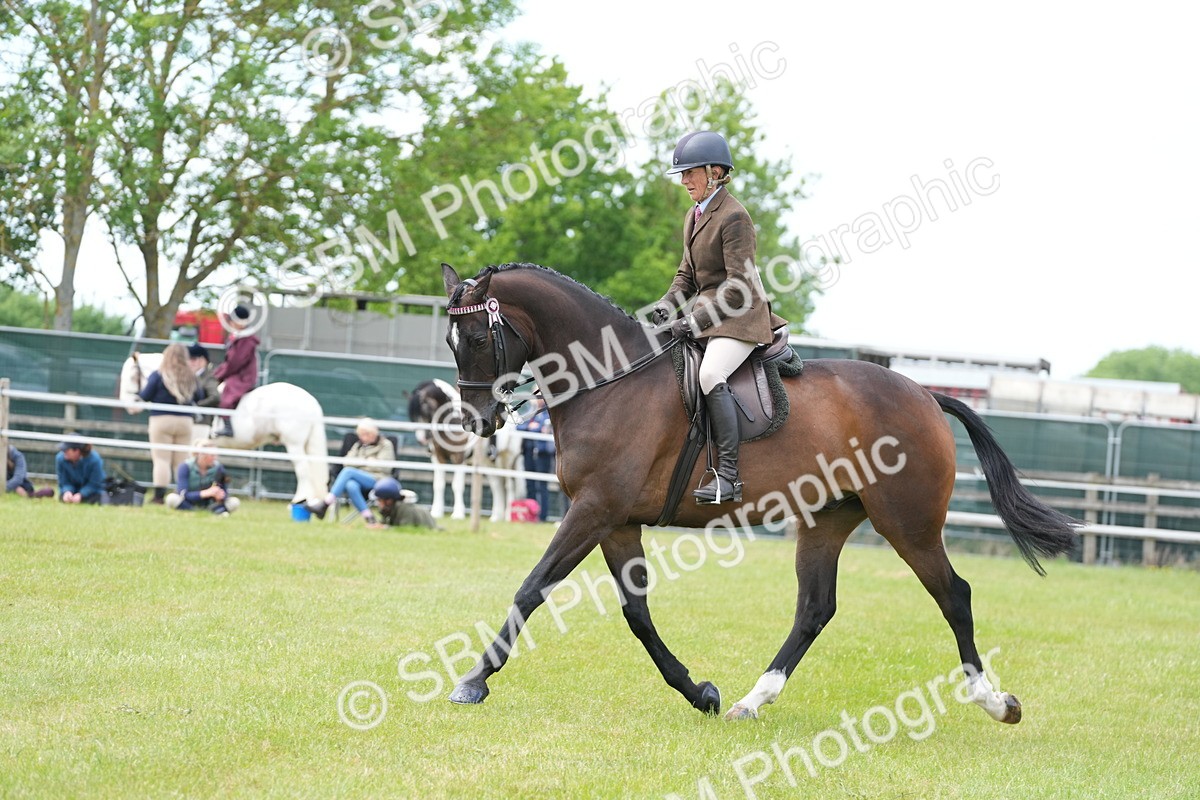 SBM_16248 - Class 105-106 - RIHS Riding Horses