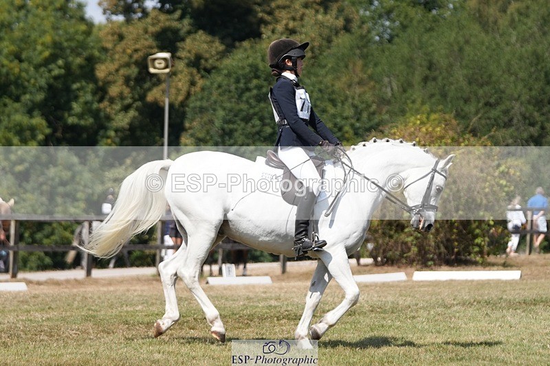 250823A-132812-31192 - Arena A