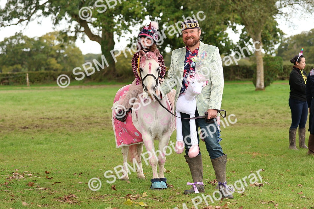 SBM_62232 - S37b - Best Unicorn