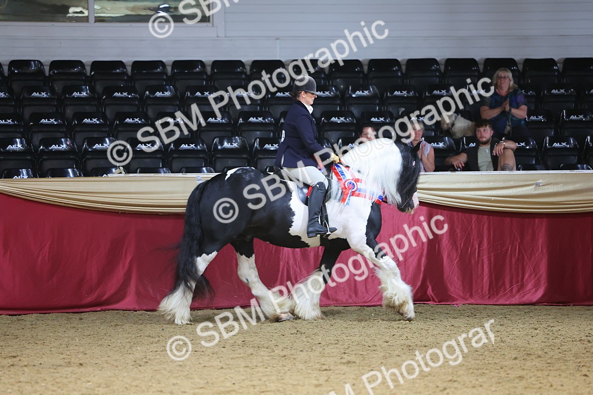 SBM_24970 - Supreme Final - Ridden Champion