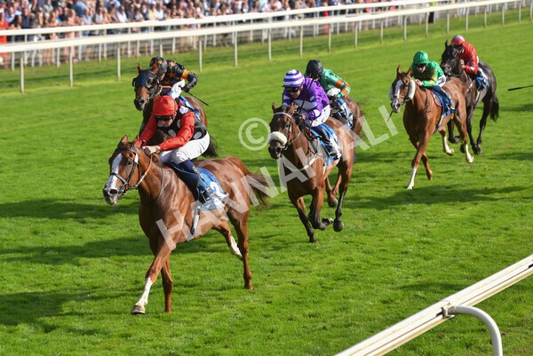 yr05092021r5-40 - Race 5 4.20pm Little Green Rascals Children's Nurseries Stakes