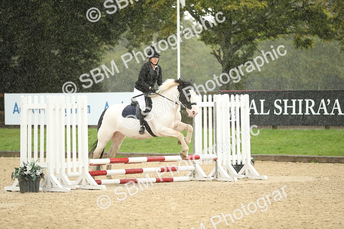 SBM_34287 - J60 Clear Round 50cm