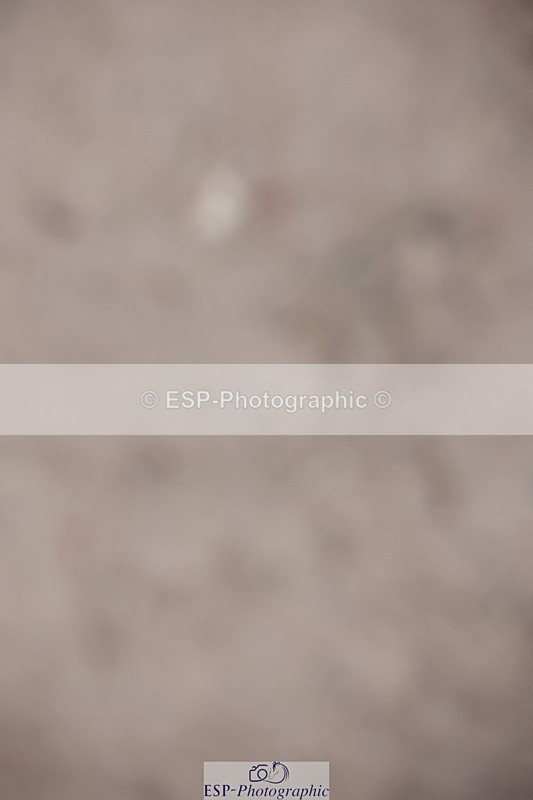 241116X-152431-02734 - Cls 18&19 Children on Horses