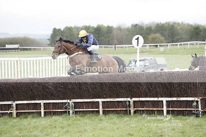 PtP 260323 0463 - New Forest Hounds Point-to-Point Larkhill 26/03/23