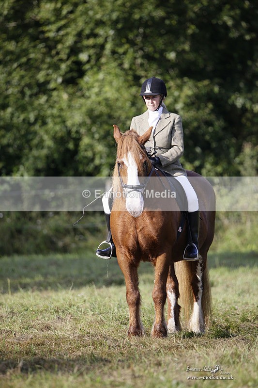 BVRC 120921 47 - Bourne Valley Riding Club UA Dressage & Show Jumping 12/09/21