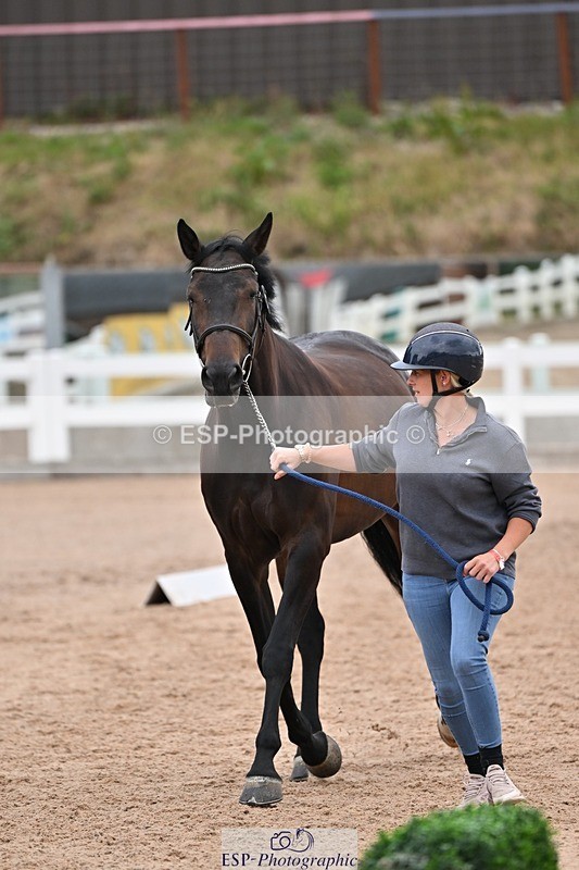 250716-141303-00975 - Trot Up 1.30 to 2.30