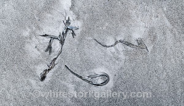  - The Sand Gallery