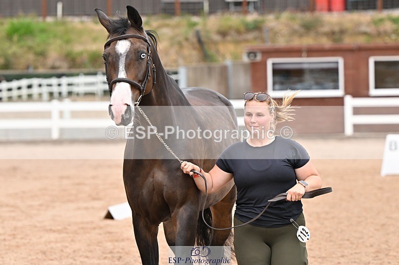 250716-144729-01401 - Trot Up 2.30 to 3.30