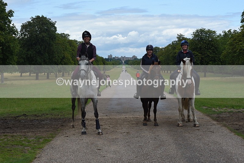 TT3_0267 - Time at Crossing 13:17 to 14:48